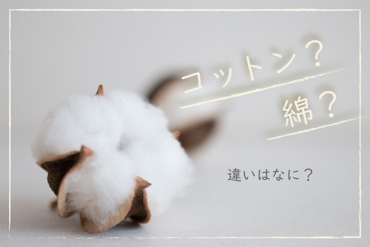 コットンと綿は同じ素材なの？｜コットンの魅力とともに「コットン100％」のノベルティをご紹介！